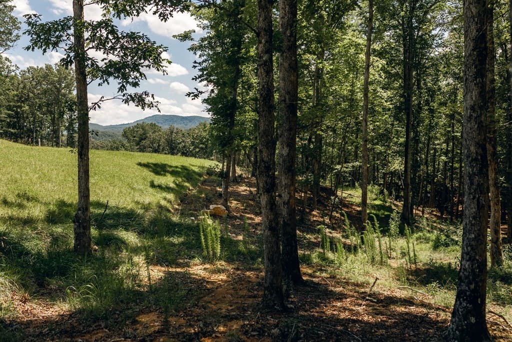 Lot 133 Ridges Of Blue Ridge, Morganton GA 30560 - Photo