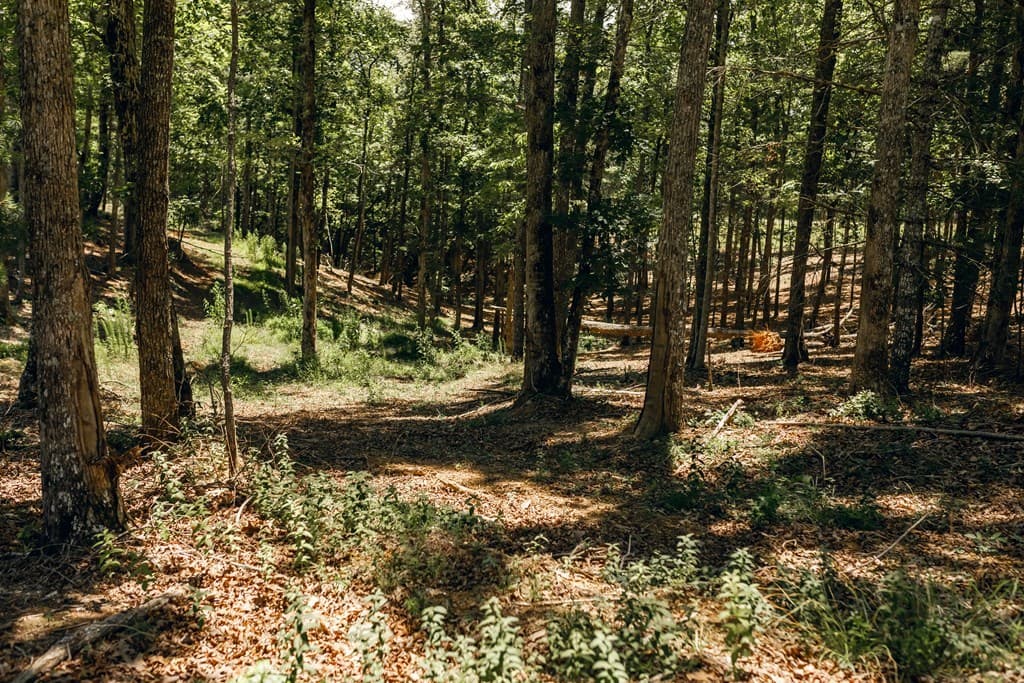 Lot 133 Ridges Of Blue Ridge, Morganton GA 30560 - Photo