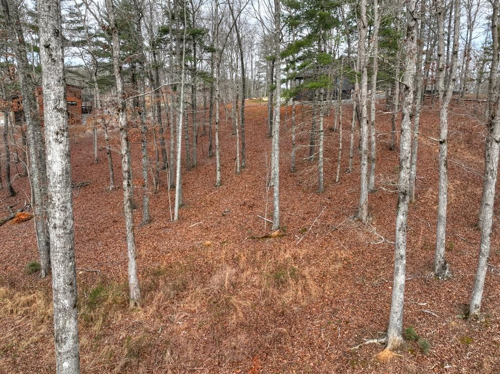Lot 133 Ridges Of Blue Ridge, Morganton GA 30560 - Photo