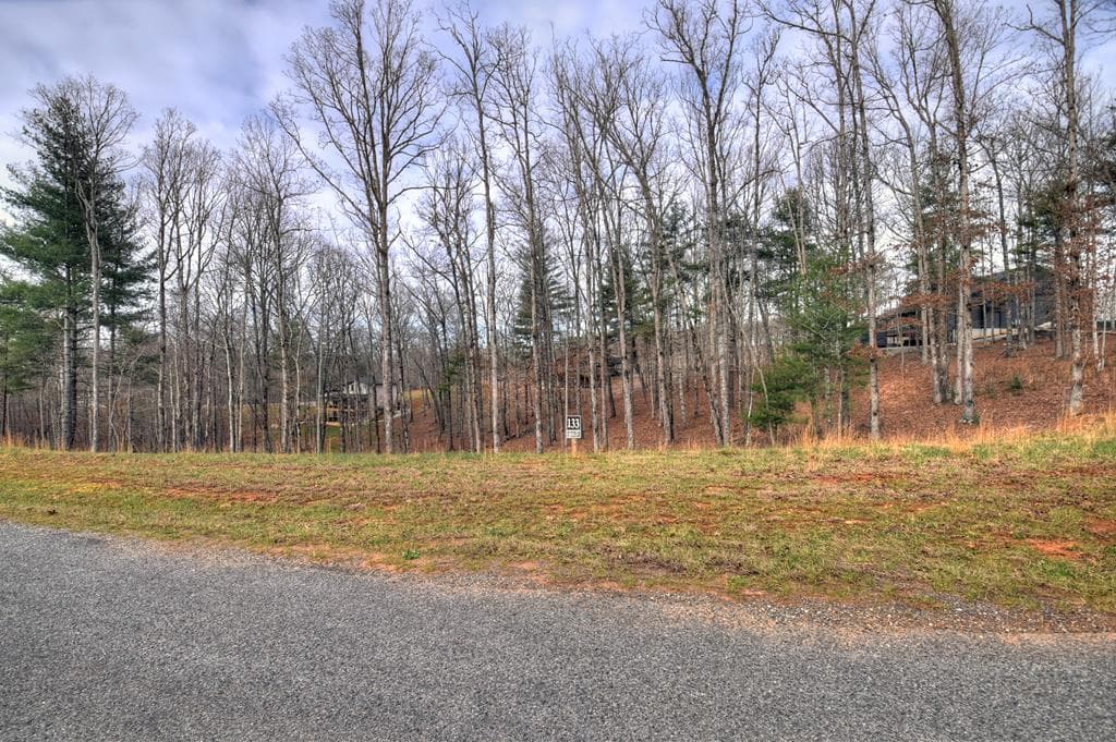 Lot 133 Ridges Of Blue Ridge, Morganton GA 30560 - Photo