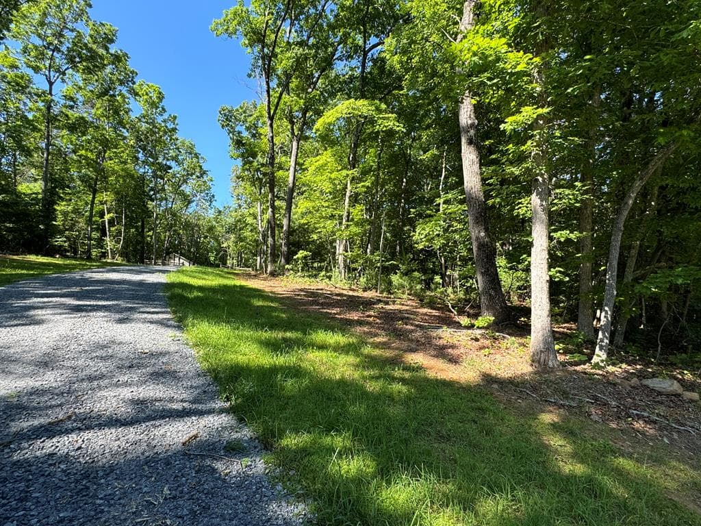 3058 River Road, Mineral Bluff GA 30559 - Photo