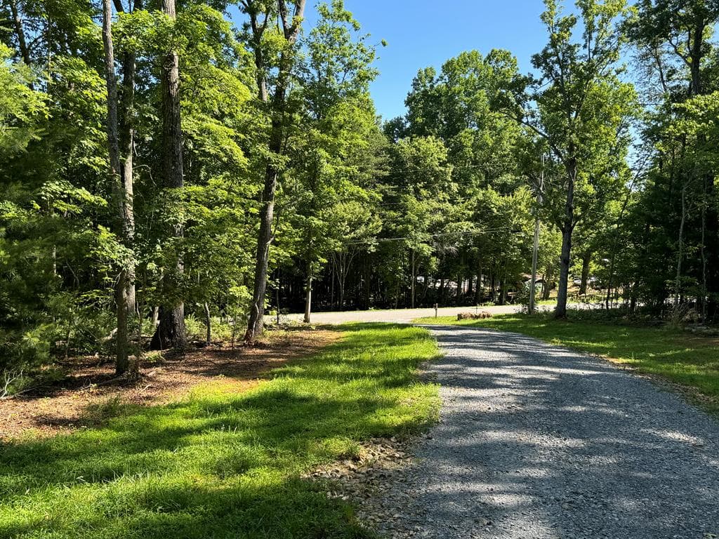 3058 River Road, Mineral Bluff GA 30559 - Photo