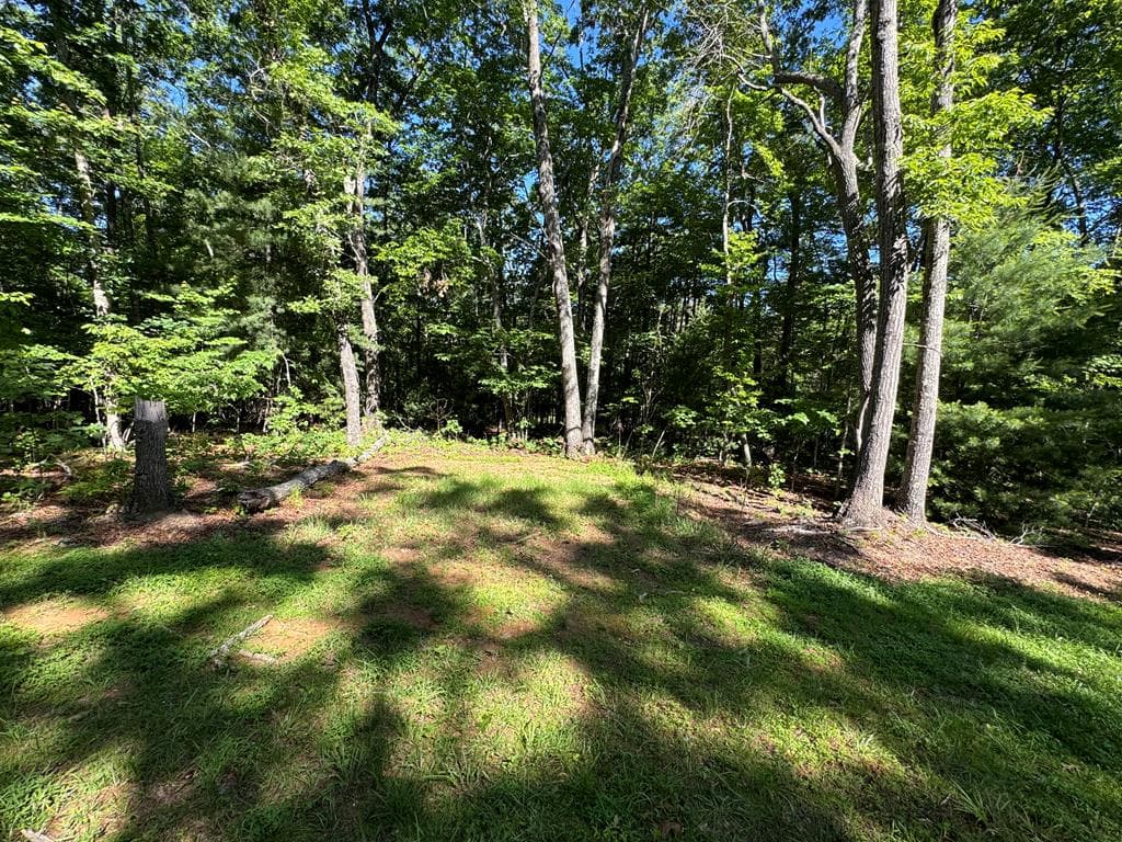 3058 River Road, Mineral Bluff GA 30559 - Photo