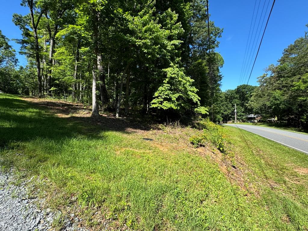 3058 River Road, Mineral Bluff GA 30559 - Photo