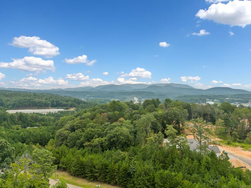 117 Pinnacle Way, Ellijay GA 30540 - Photo