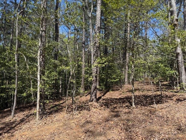 Lot 2 Lynae Lane, Murphy NC 28906 - Photo