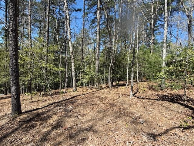 Lot 2 Lynae Lane, Murphy NC 28906 - Primary photo