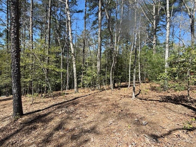 Lot 2 Lynae Lane, Murphy NC 28906 - Photo