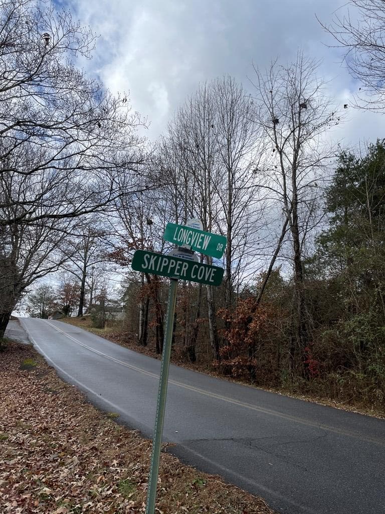 0 Skipper Lane, Hiawassee GA 30546 - Photo