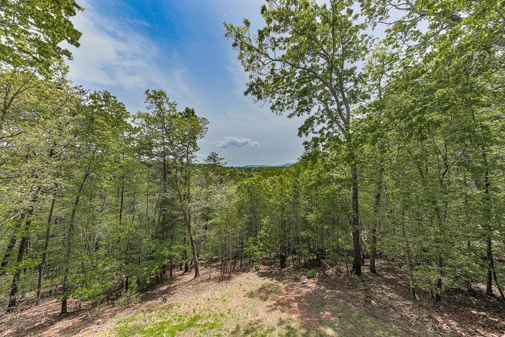 88 Black Gum Lane, Blue Ridge GA 30513 - Photo