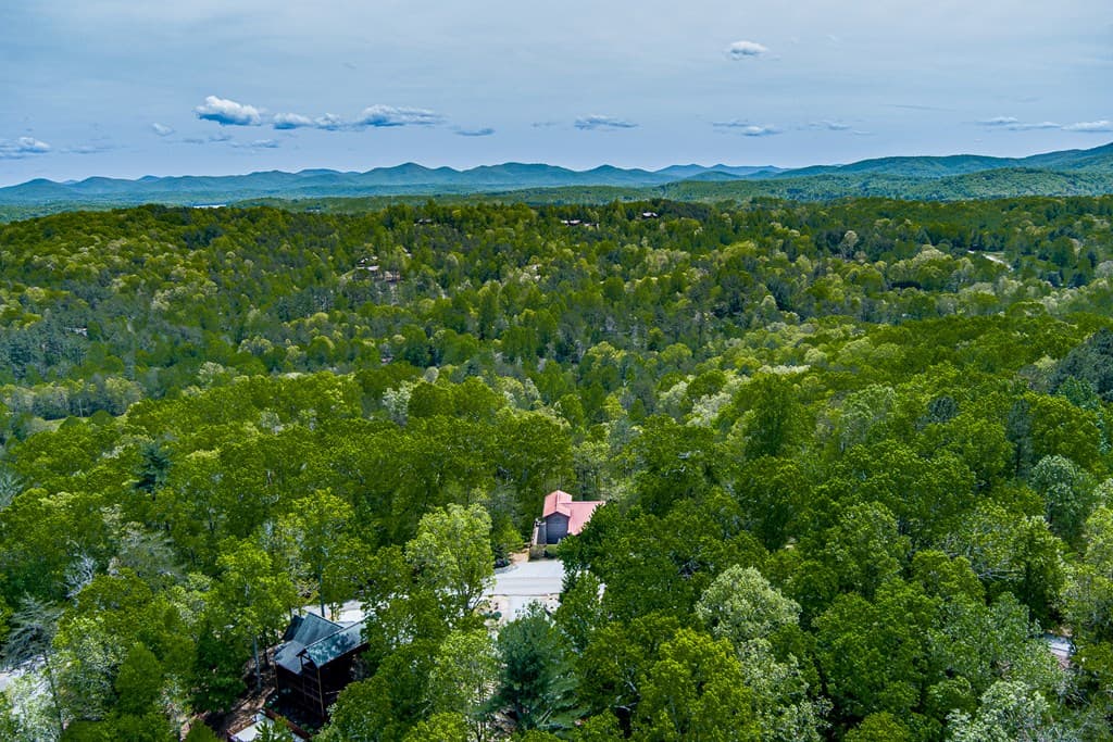 88 Black Gum Lane, Blue Ridge GA 30513 - Photo
