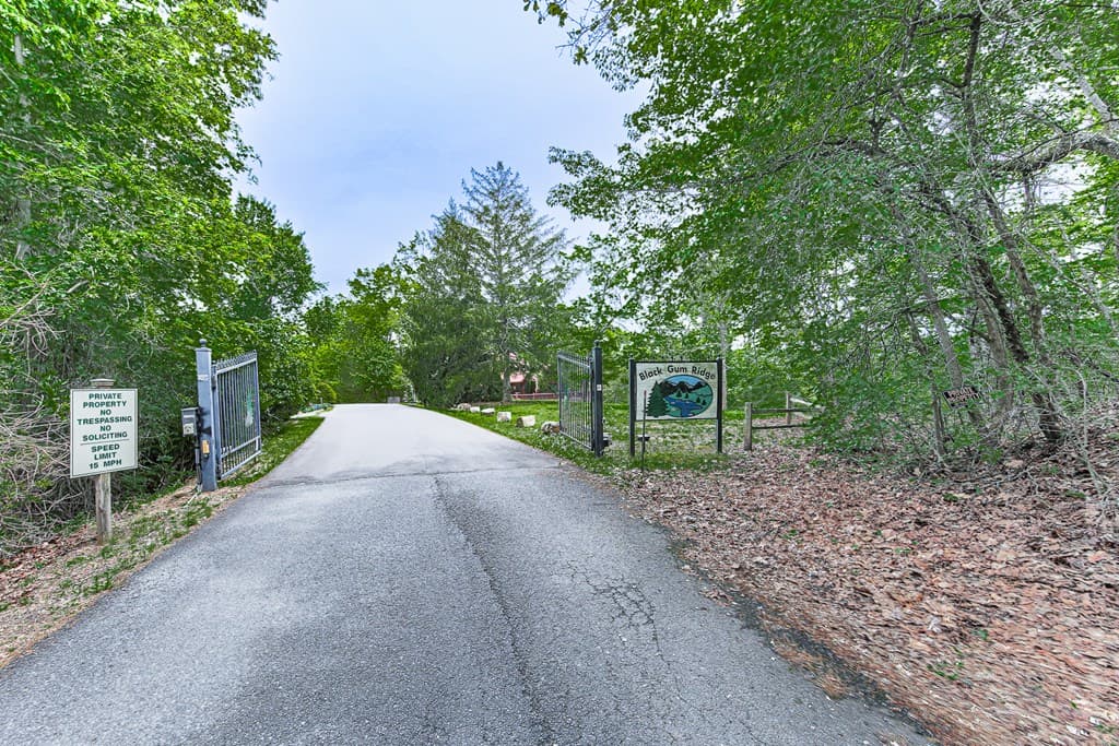 88 Black Gum Lane, Blue Ridge GA 30513 - Photo