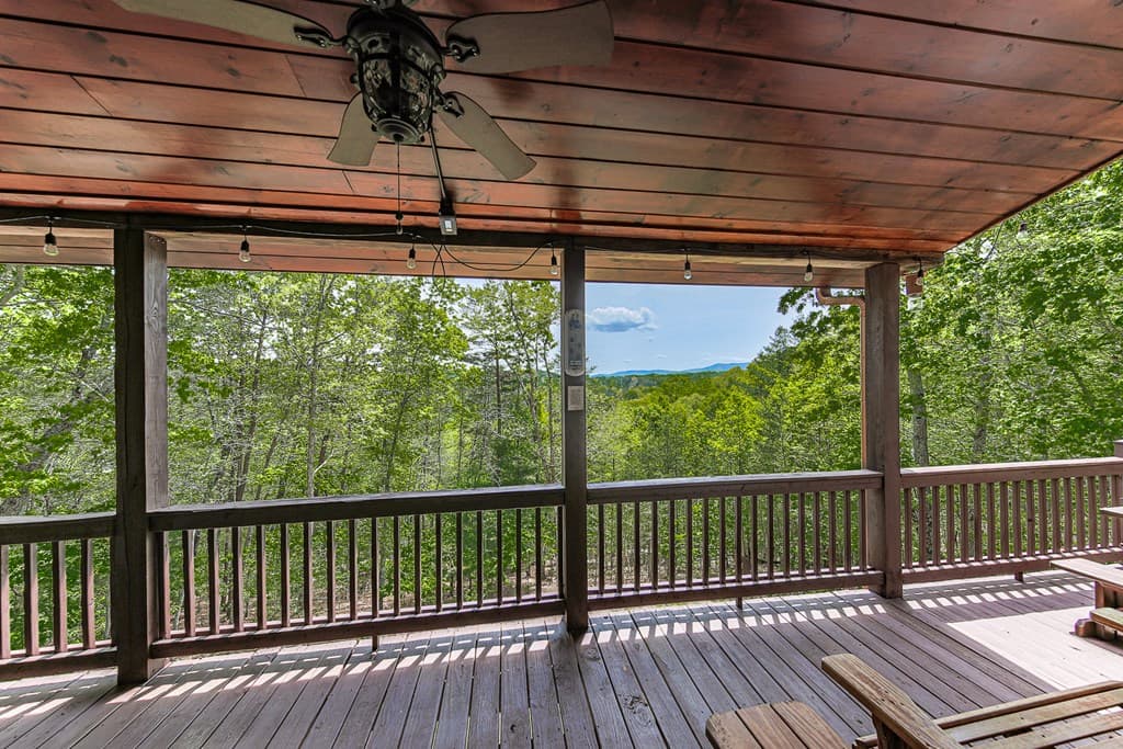 88 Black Gum Lane, Blue Ridge GA 30513 - Photo