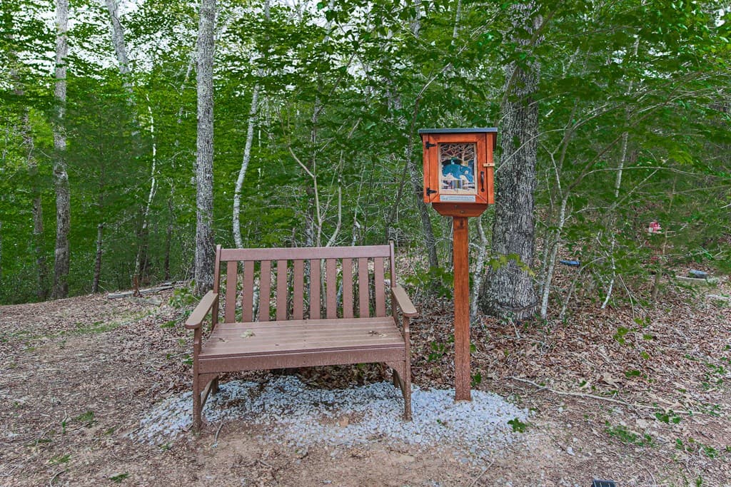 88 Black Gum Lane, Blue Ridge GA 30513 - Photo