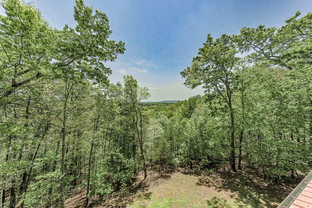 88 Black Gum Lane, Blue Ridge GA 30513 - Photo