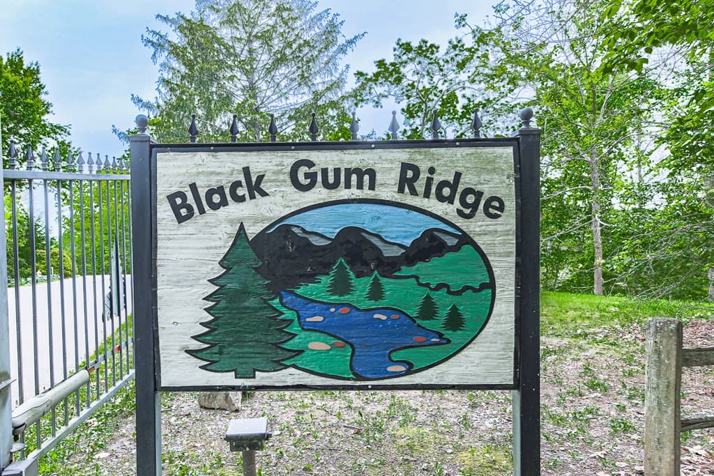 88 Black Gum Lane, Blue Ridge GA 30513 - Photo