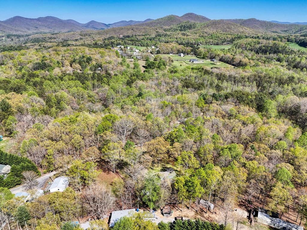 64 Guy Lane, Blairsville GA 30512 - Photo