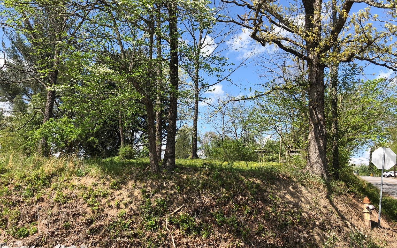 742 E 2nd Street, Blue Ridge GA 30513 - Photo