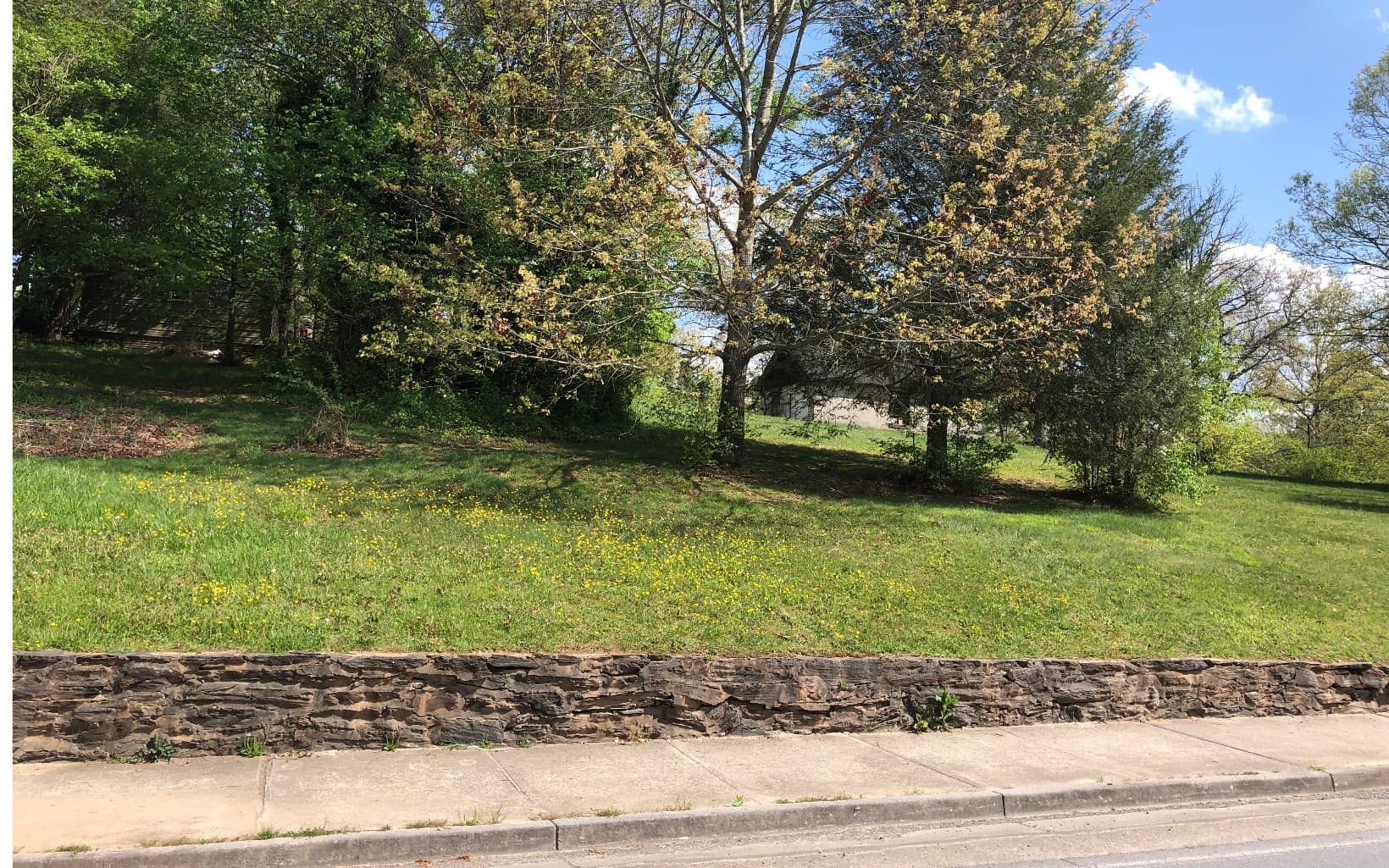 742 E 2nd Street, Blue Ridge GA 30513 - Primary photo