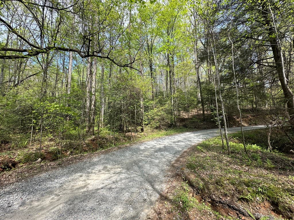 Lot 20 Big Ben Road, Ellijay GA 30540 - Photo