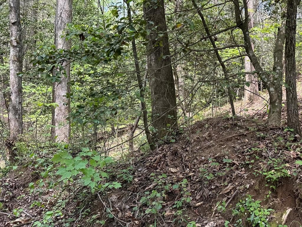 Lot 20 Big Ben Road, Ellijay GA 30540 - Photo