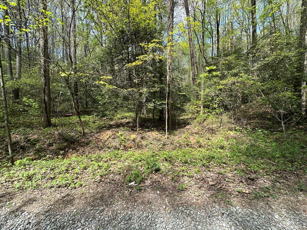 Lot 20 Big Ben Road, Ellijay GA 30540 - Photo