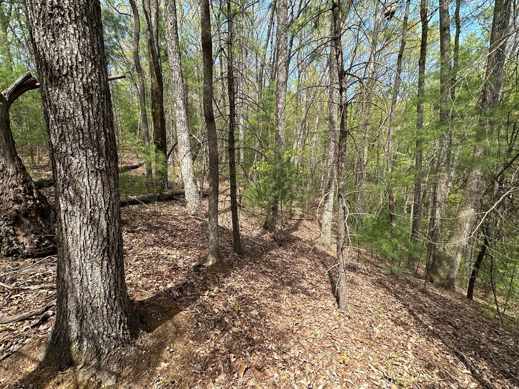 Lot 20 Big Ben Road, Ellijay GA 30540 - Photo