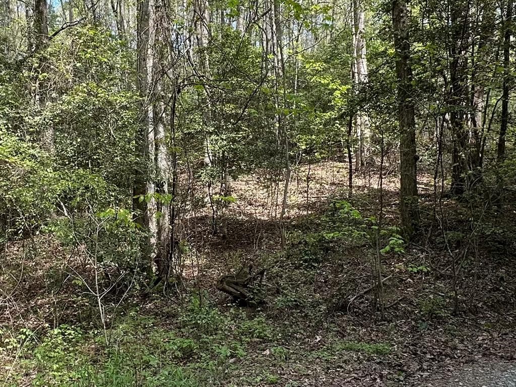 Lot 20 Big Ben Road, Ellijay GA 30540 - Photo