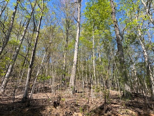 Lot 2B Grandview Drive, Hayesville NC 28904 - Primary photo