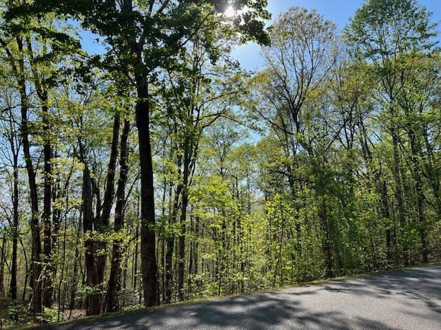 Lot 2B Grandview Drive, Hayesville NC 28904 - Photo