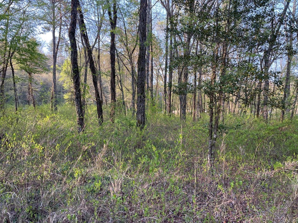 0 River Farm Drive, Murphy NC 28906 - Photo