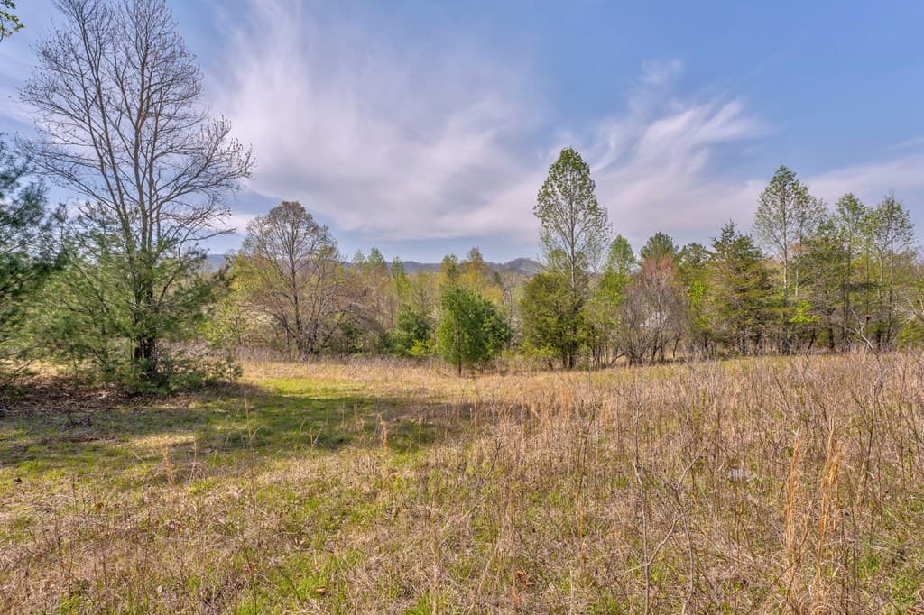 365 Waters Road, Mccaysville GA 30555 - Photo