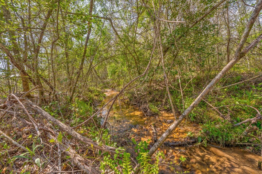365 Waters Road, Mccaysville GA 30555 - Photo