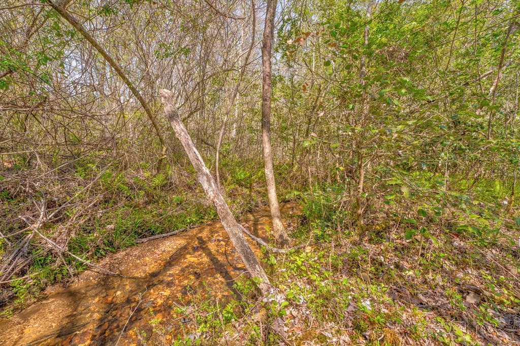 365 Waters Road, Mccaysville GA 30555 - Photo