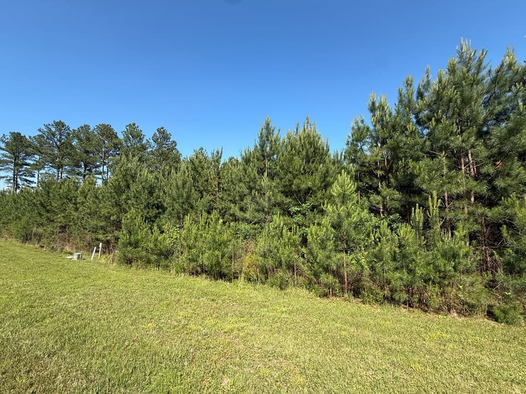 Lot 228 The Cove @ 1300, Blairsville GA 30512 - Photo
