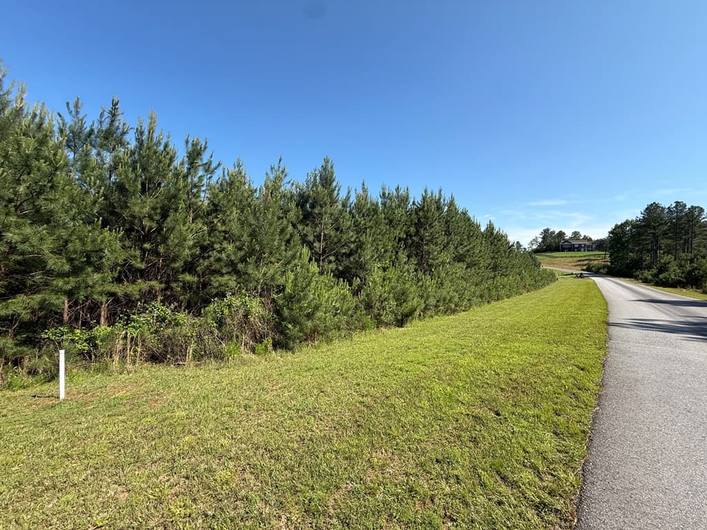 Lot 228 The Cove @ 1300, Blairsville GA 30512 - Photo