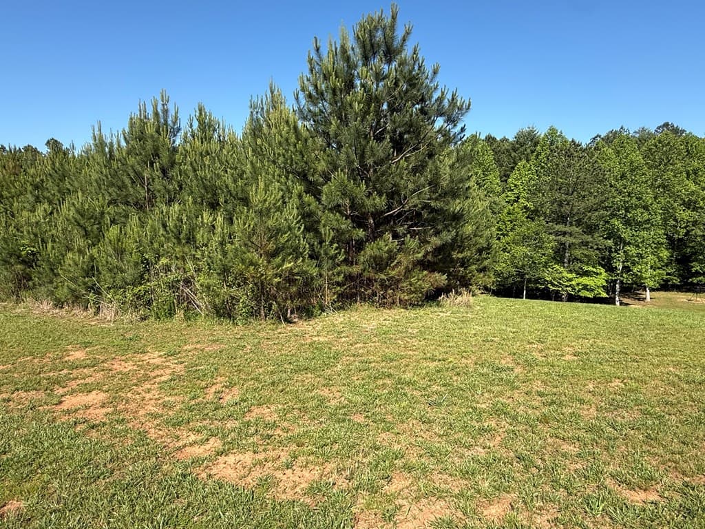 Lot 228 The Cove @ 1300, Blairsville GA 30512 - Photo
