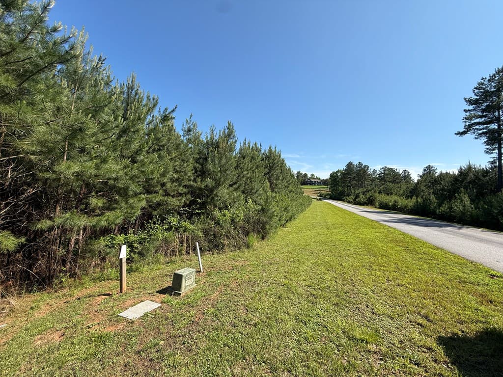 Lot 228 The Cove @ 1300, Blairsville GA 30512 - Photo