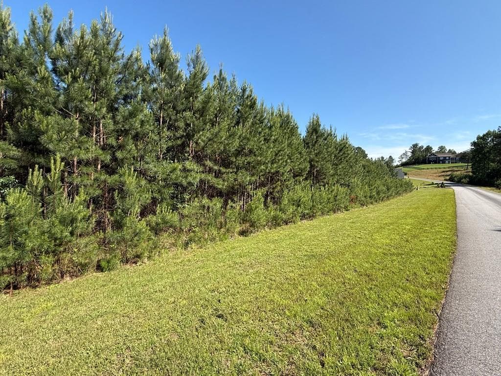 Lot 228 The Cove @ 1300, Blairsville GA 30512 - Primary photo