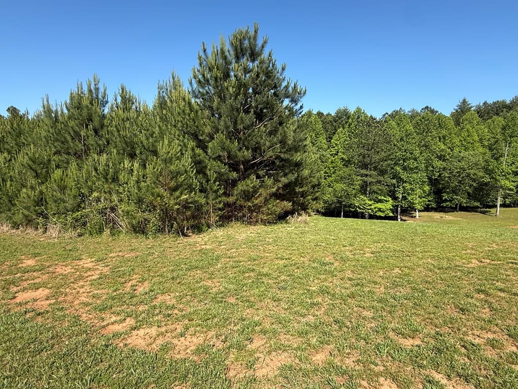 Lot 228 The Cove @ 1300, Blairsville GA 30512 - Photo