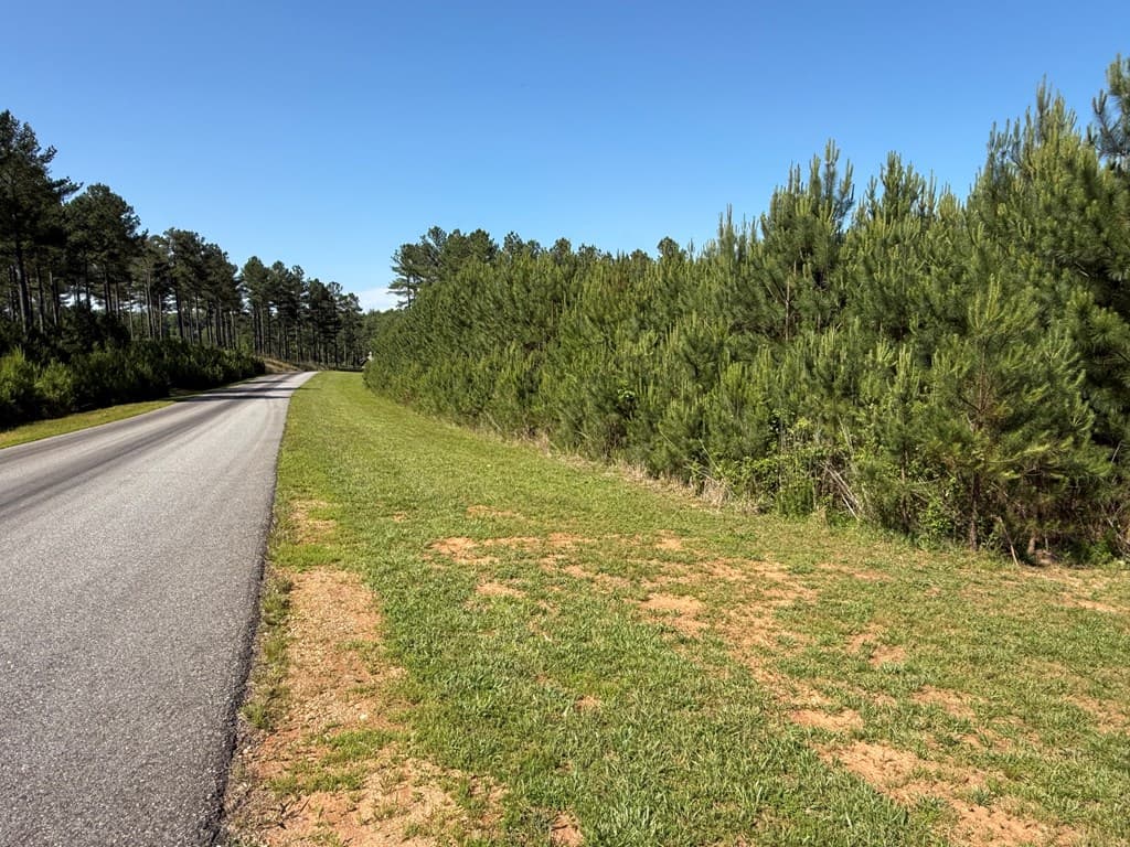 Lot 228 The Cove @ 1300, Blairsville GA 30512 - Photo