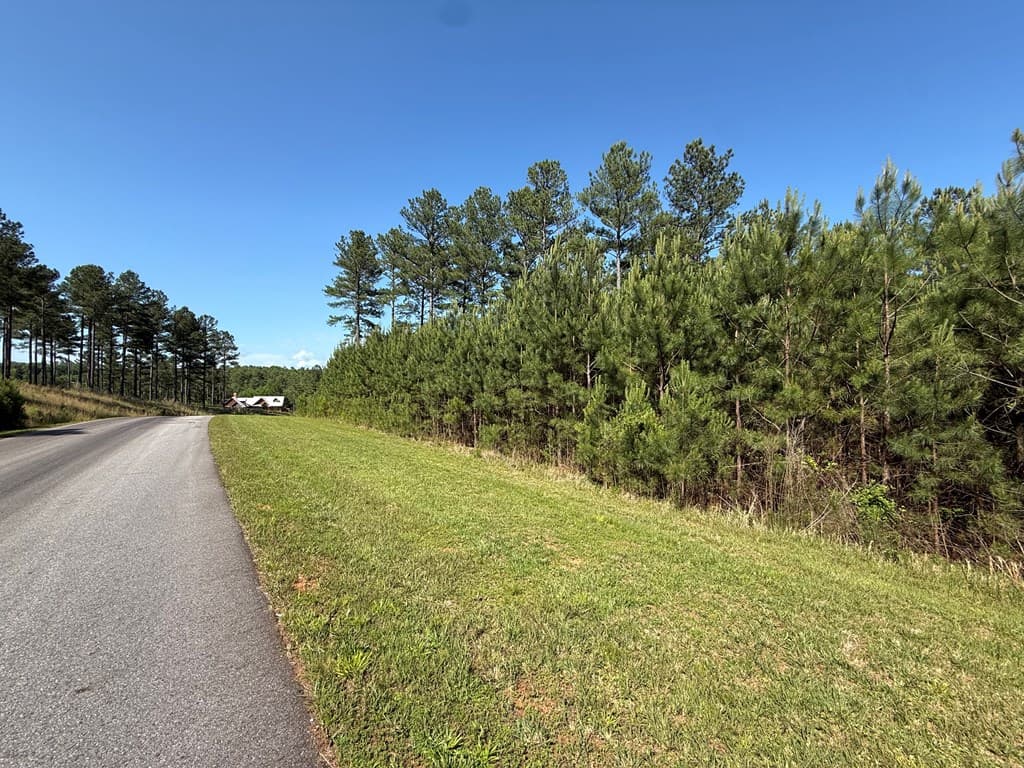 Lot 228 The Cove @ 1300, Blairsville GA 30512 - Photo