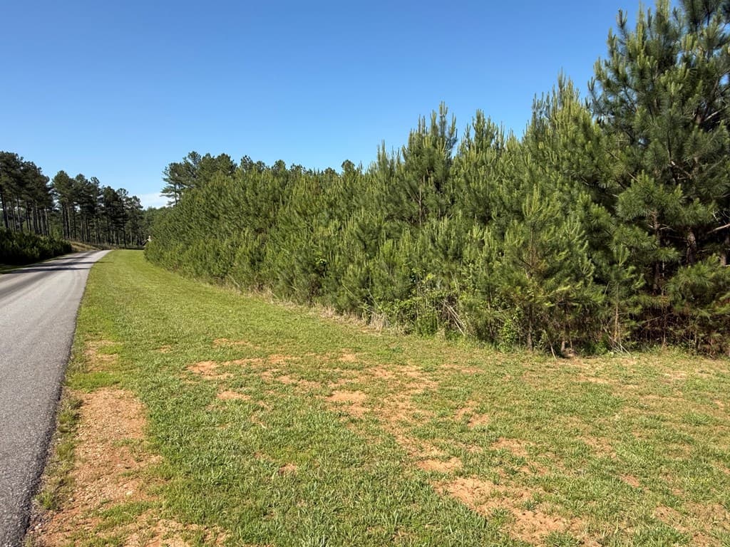 Lot 228 The Cove @ 1300, Blairsville GA 30512 - Photo