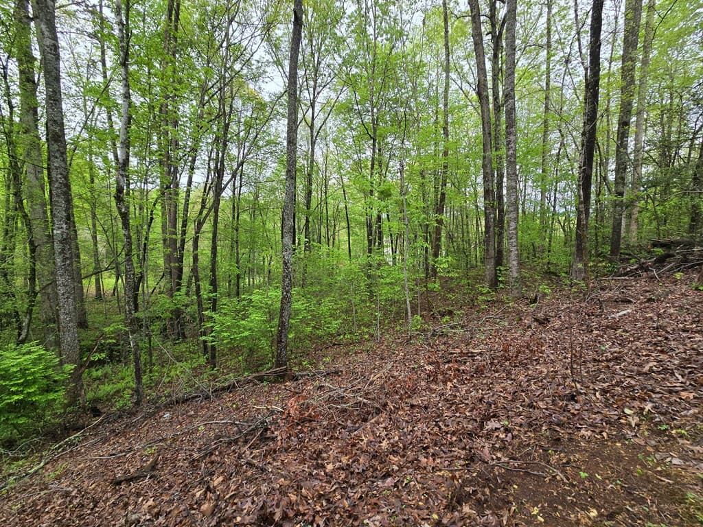 Lot 69 Chatuge Village, Hayesville NC 28904 - Photo