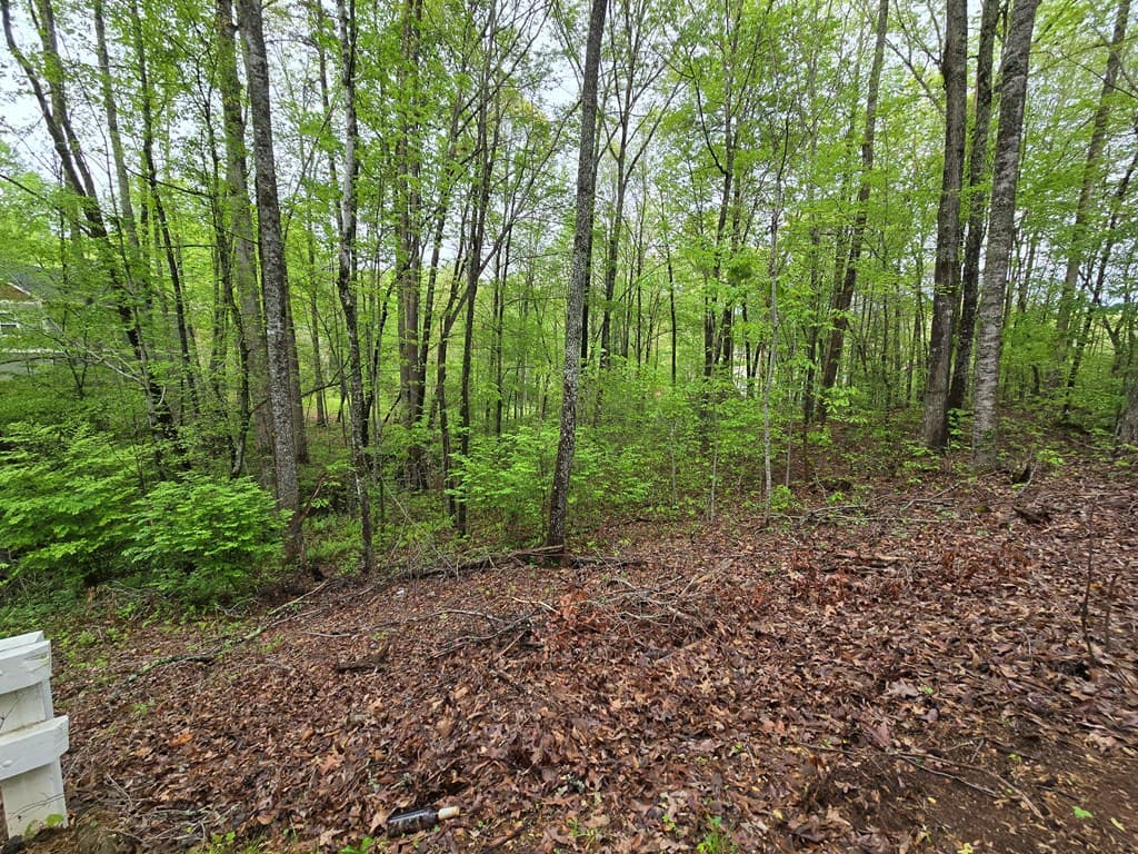 Lot 69 Chatuge Village, Hayesville NC 28904 - Photo