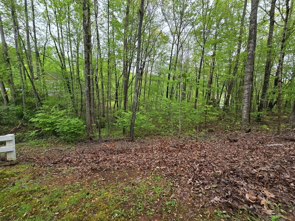 Lot 69 Chatuge Village, Hayesville NC 28904 - Primary photo