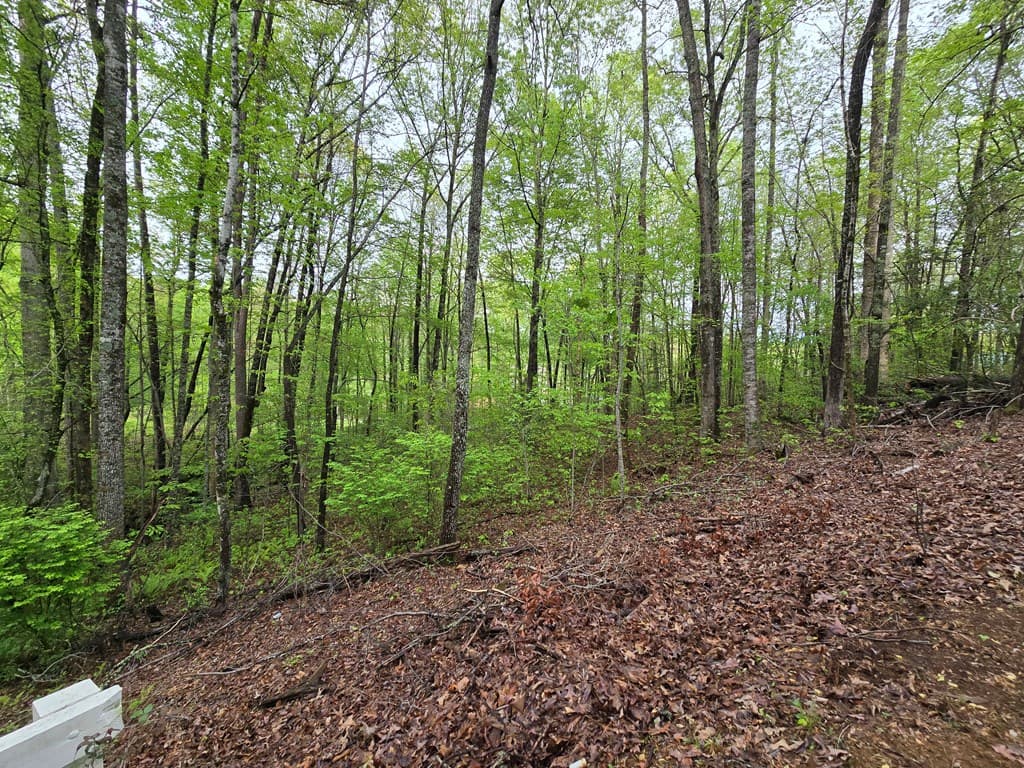 Lot 69 Chatuge Village, Hayesville NC 28904 - Photo