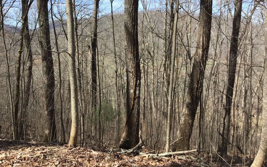 #61 Shiloh, Hayesville NC 28904 - Photo