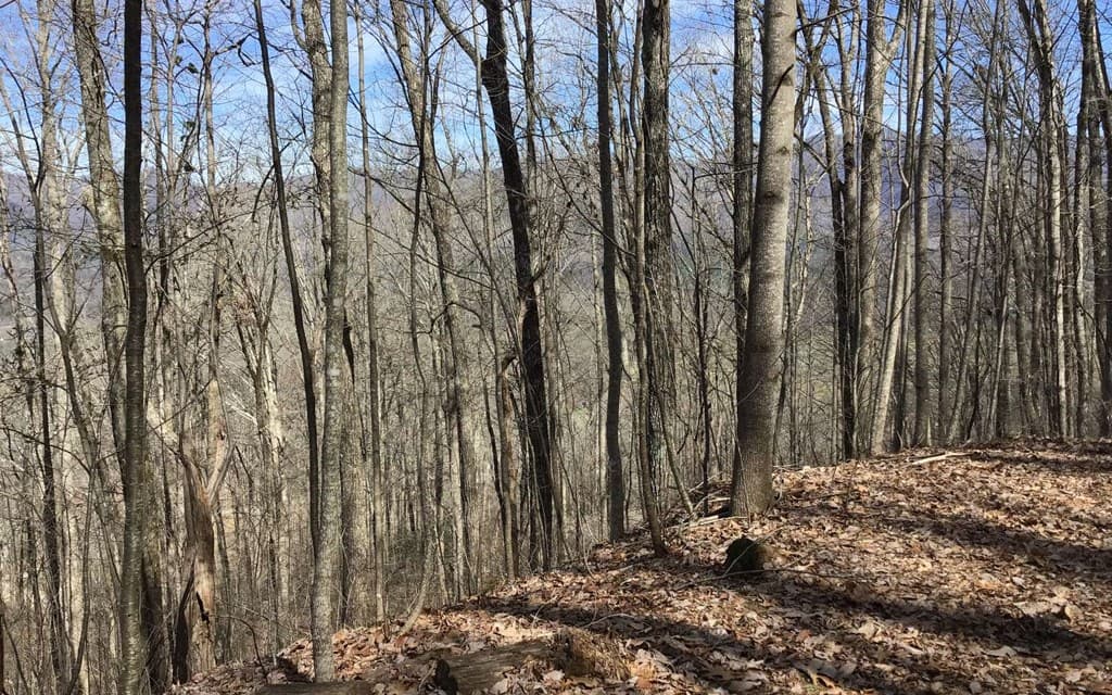 #61 Shiloh, Hayesville NC 28904 - Photo