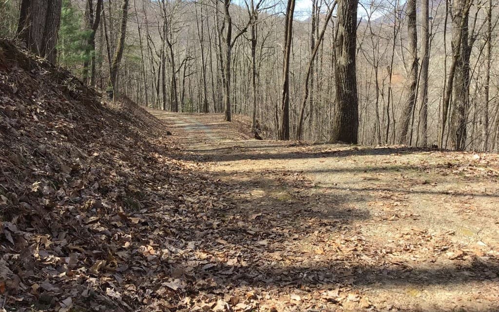 #61 Shiloh, Hayesville NC 28904 - Photo